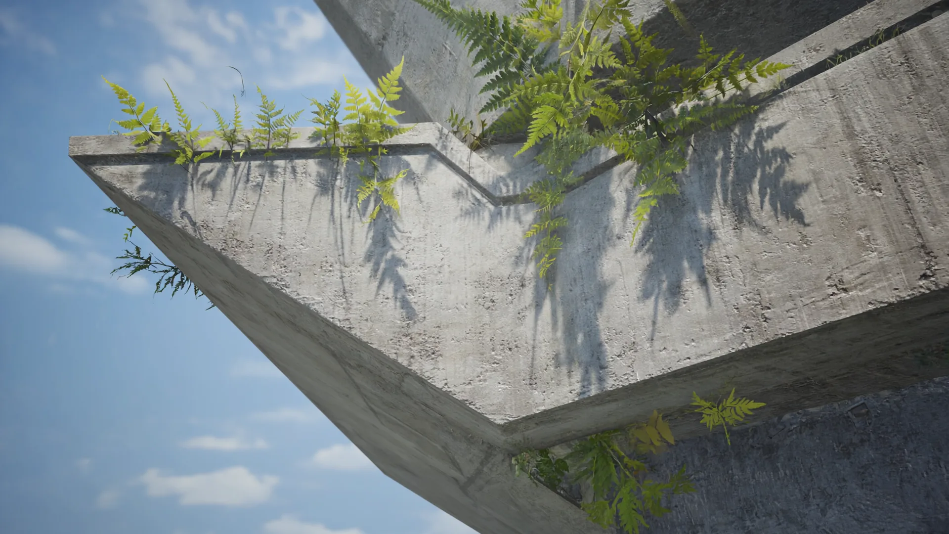 Ferns growing from the edge of a concrete slab against a blue sky